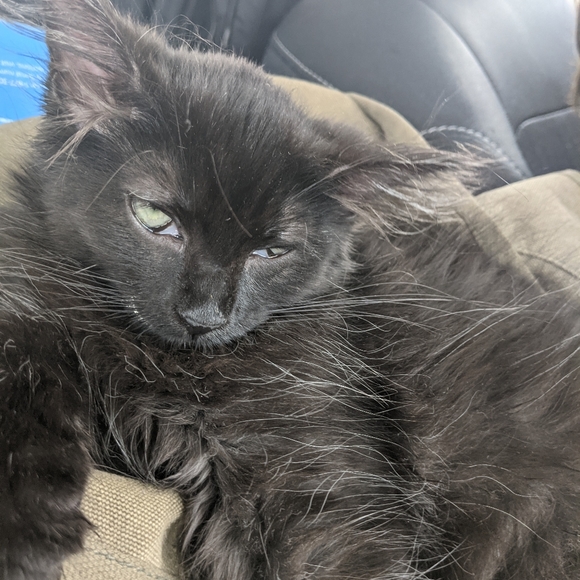 Meet your Posher, Debbee - Picture 12 of 13